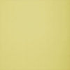 Thibaut Wallpaper BRAZIL - Celadon