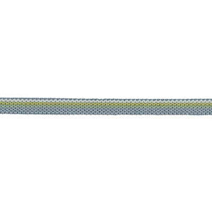 Kravet Trim Gimp