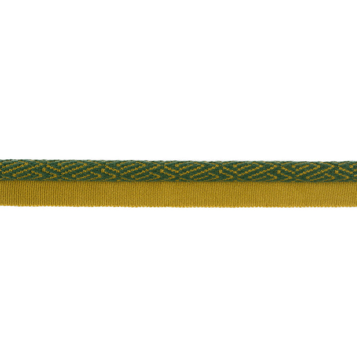 Twiga Landscape by Kravet Design Designer Trim TANZANIA J BANKS TRIM COLLECTION COTTON - 44%;WOOL - 22%;FIBRANNE - 17%;RAYON - 17% China - Horizontal: - and Vertical: - 1 - Swanky Fabrics -
