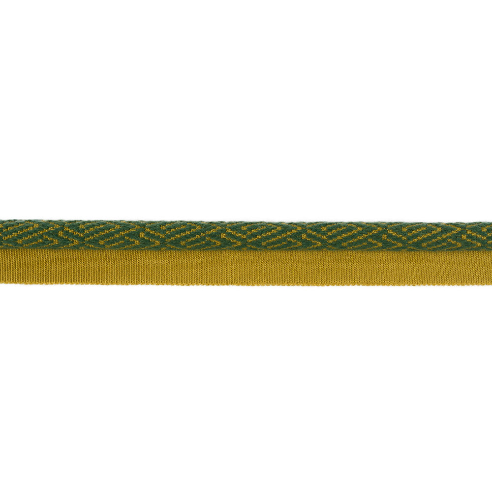 Twiga Landscape by Kravet Design Designer Trim TANZANIA J BANKS TRIM COLLECTION COTTON - 44%;WOOL - 22%;FIBRANNE - 17%;RAYON - 17% China Horizontal: and Vertical: 1 - Swanky Fabrics -