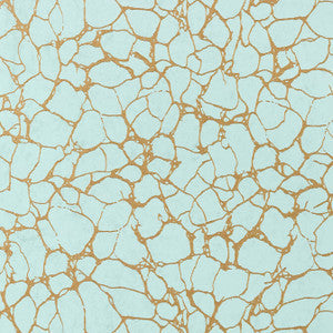 Thibaut Wallpaper Amato Aqua T4018