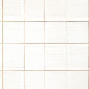Thibaut Wallpaper Wood Panel White and Metallic Pewter T41000