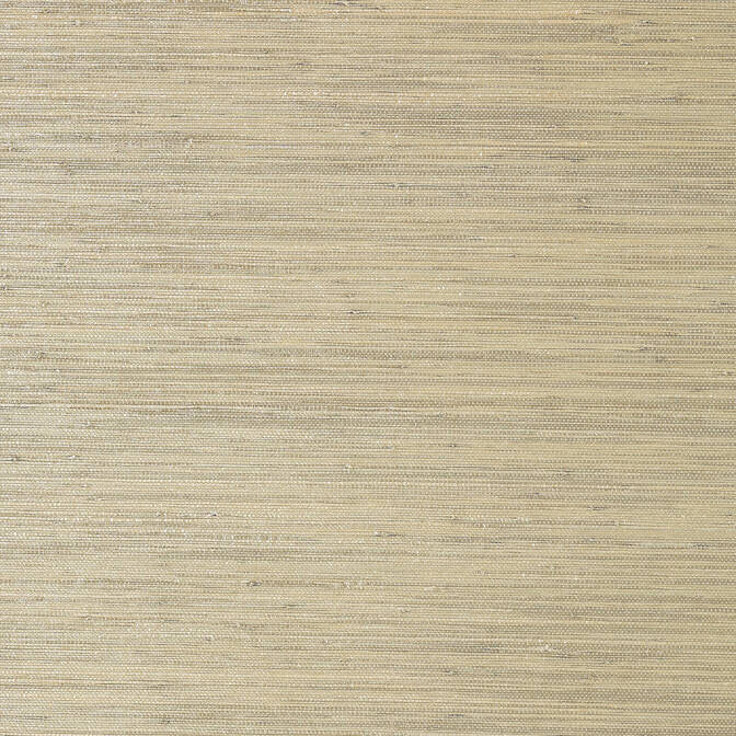 Gulf Shore Pewter T41118 by Thibaut Wallpaper Thibaut Wallpaper Gulf Shore Pewter T41118Wallpaper Grasscloth Resource 3 Raffia Fine Weave KOREA </p><p>Repeat: V: - 36 - Fabric Carolina -