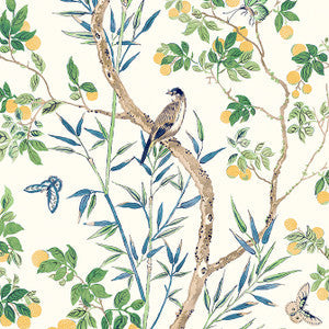 Thibaut Wallpaper Claire Yellow and Navy T42013
