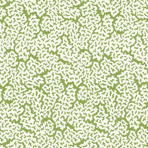 Thibaut Wallpaper Maldives Green T42041
