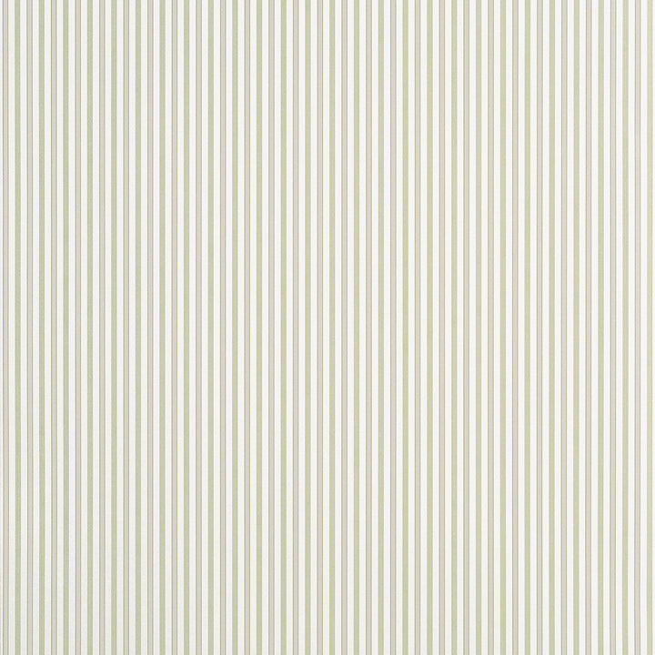 Conner Stripe Green and Beige T44066 by Thibaut Wallpaper Thibaut Wallpaper Conner Stripe Green and Beige T44066Wallpaper STRIPES & CHECKS RESOURCE Non Woven Wallpaper U.S.A </p><p>Repeat: H: , V: 27  in  (68.58  cm) - Fabric Carolina -