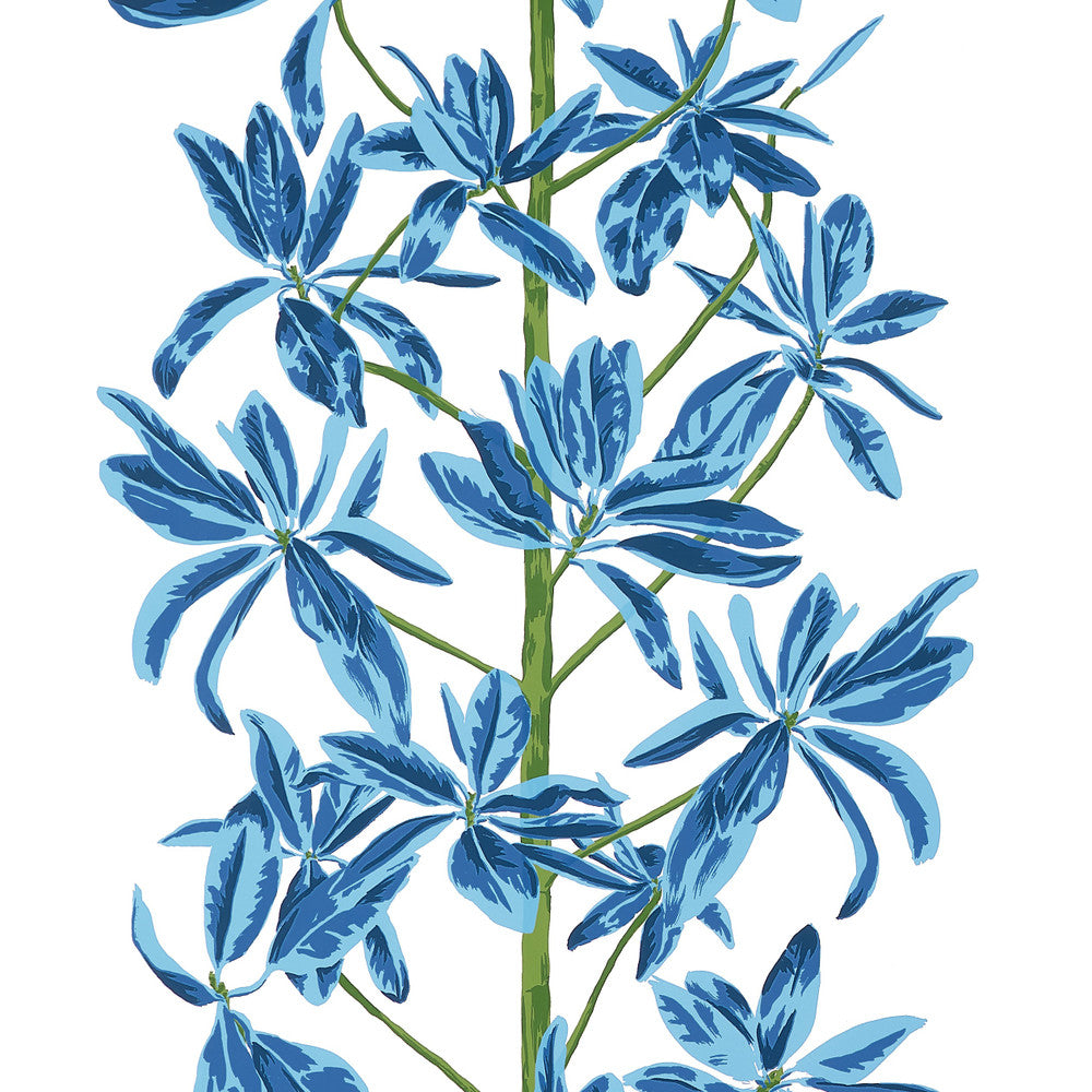 Mangrove Tree Blue and White T45032 by Thibaut Wallpaper Thibaut Wallpaper Mangrove Tree Blue and White T45032Wallpaper WANDERLUST Wallpaper U.S.A </p><p>Repeat: H: , V: 36   (91.44  cm) 27  in  (68.58  cm) - Fabric Carolina -