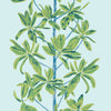 Thibaut Wallpaper Mangrove Tree Turquoise T45033