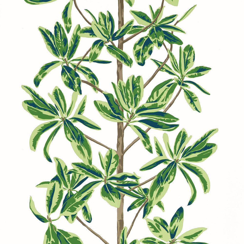 Mangrove Tree Green and White T45035 by Thibaut Wallpaper Thibaut Wallpaper Mangrove Tree Green and White T45035Wallpaper WANDERLUST Wallpaper U.S.A </p><p>Repeat: H: , V: 36   (91.44  cm) 27  in  (68.58  cm) - Fabric Carolina -