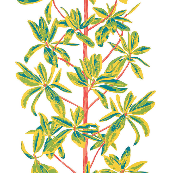 Mangrove Tree Coral T45036 by Thibaut Wallpaper Thibaut Wallpaper Mangrove Tree Coral T45036Wallpaper WANDERLUST Wallpaper U.S.A </p><p>Repeat: H: , V: 36   (91.44  cm) 27  in  (68.58  cm) - Fabric Carolina -