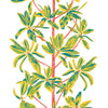 Thibaut Wallpaper Mangrove Tree Coral T45036