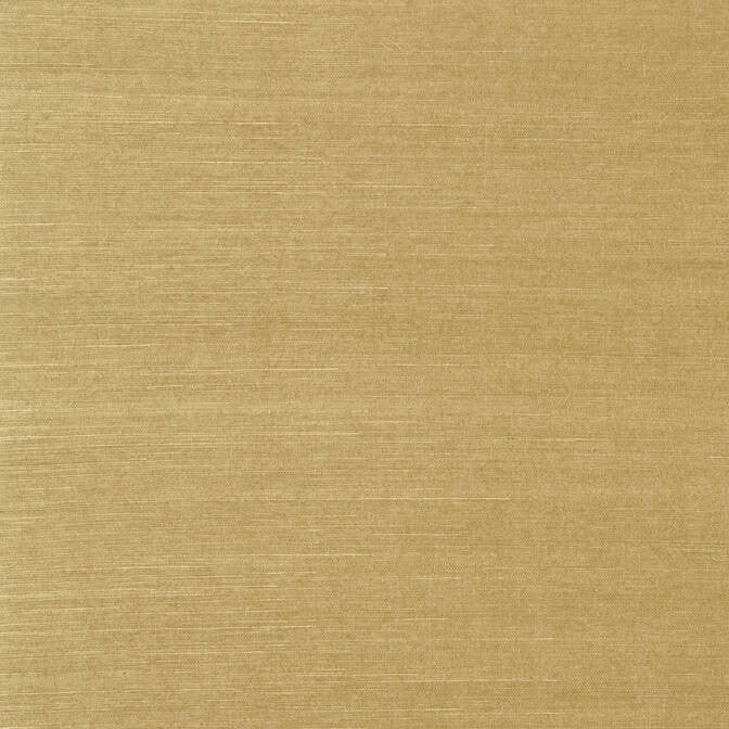 Shang Extra Fine Sisal Mushroom T5037 by Thibaut Wallpaper Thibaut Wallpaper Shang Extra Fine Sisal Mushroom T5037Wallpaper Grasscloth Resource Extra Fine Sisal CHINA </p><p>Repeat: V: - 36 - Fabric Carolina -