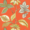 Thibaut Wallpaper LUCALA - Coral