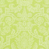 Thibaut Wallpaper HARVARD DAMASK - Citrus