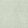 Thibaut Wallpaper Bankun Raffia Aqua T6808