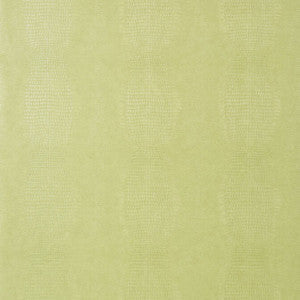 Thibaut Wallpaper Kissimmee Apple T75095
