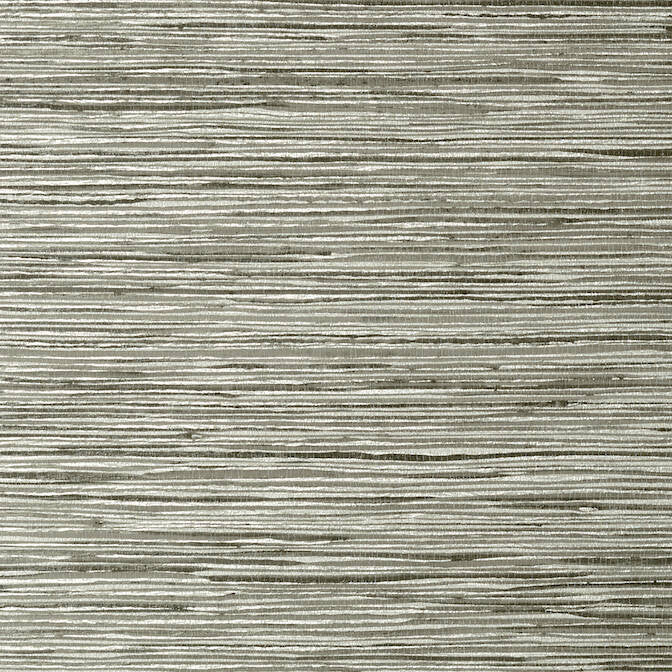 Jindo Grass Charcoal on Metallic Silver T75120 by Thibaut Wallpaper Thibaut Wallpaper Jindo Grass Charcoal on Metallic Silver T75120Wallpaper Faux Resource Vinyl Face Wallpaper UNITED KINGDOM </p><p>Repeat: V: 27 27 - Fabric Carolina -
