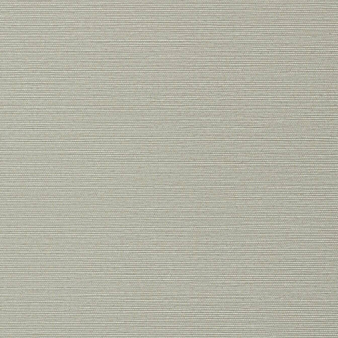 Taluk Sisal Grey T75149 by Thibaut Wallpaper Thibaut Wallpaper Taluk Sisal Grey T75149Wallpaper Faux Resource Non-Woven Vinyl Wallpaper U.S.A. </p><p>Repeat: V: 21 27 - Fabric Carolina -