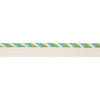 Brunschwig & Fils Trim Carimar Cord Lagoon