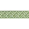 Brunschwig & Fils Trim Sanchi Tape Kiwi