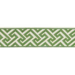Brunschwig & Fils Trim Sanchi Tape Kiwi