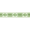 Brunschwig & Fils Trim Ganden Tape Green