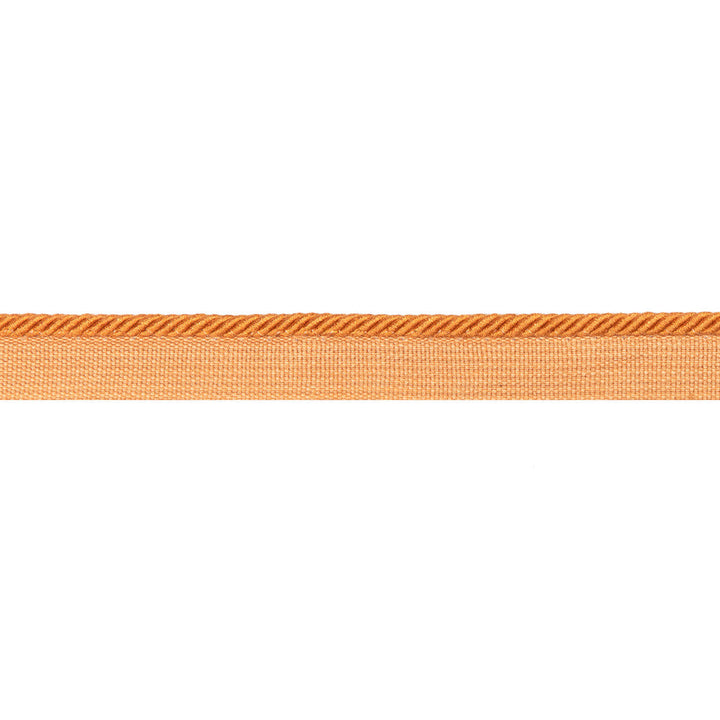 Picardy Cord Saffron by Brunschwig & Fils Trim Brunschwig & Fils Trim Picardy Cord SaffronTrim PASSEMENTERIE VOLUME I COTTON - 60%;VISCOSE - 40% France </p><p>Repeat: H: 0, V: 0 0.18 - Fabric Carolina -