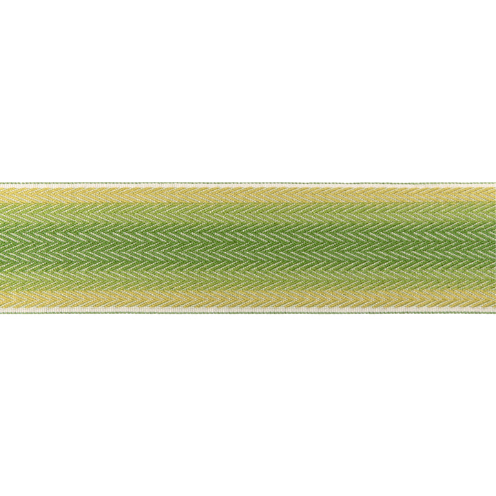 Brunschwig & Fils Trim Barfleur Tape - Leaf