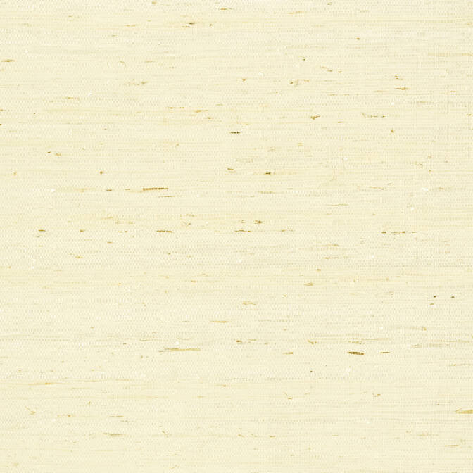 Maranta Arrowroot Cream T85008 by Thibaut Wallpaper Thibaut Wallpaper Maranta Arrowroot Cream T85008Wallpaper Greenwood Grasscloth Wallpaper KOREA </p><p>Repeat: V: - 36 - Fabric Carolina -