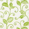 Thibaut Wallpaper WATERBURY TRAIL - Green