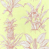 Thibaut Wallpaper TROPICAL TOILE - Pink on Green