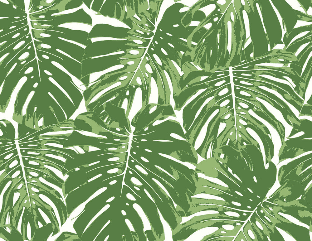 Jamaica Basil Green and White TA20004 by Seabrook Designs Designer Wallpaper