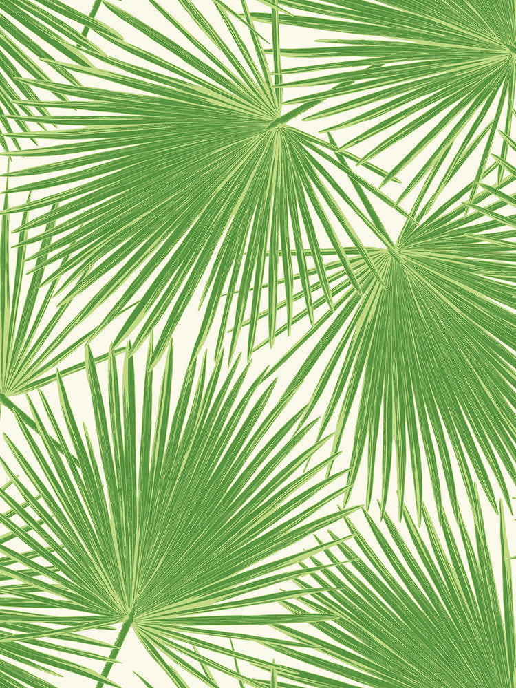 Aruba Fern Green and White TA20204 by Seabrook Designs Designer Wallpaper