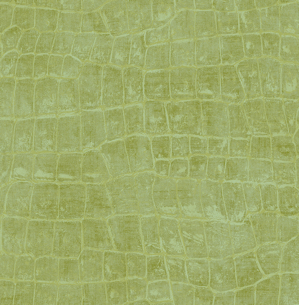 Curacao Apple Green TA20504 by Seabrook Designs Designer Wallpaper
