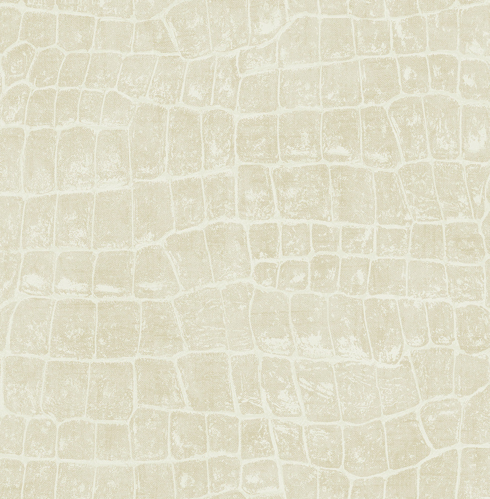Curacao Beige TA20505 by Seabrook Designs Designer Wallpaper