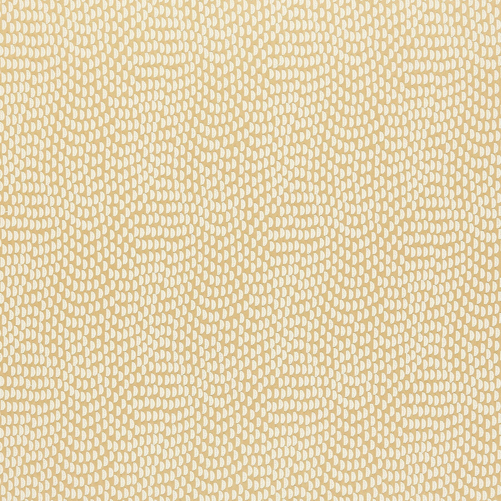 Tamarac 5 Chardonnay by Marcus William Fabric Marcus William Fabric Tamarac 5 ChardonnayFabric KAI/MARCUS WILLIAM ARAVALLI INDIA </p><p>Repeat: H: 6.500, V: 6.625 54 in - Fabric Carolina -