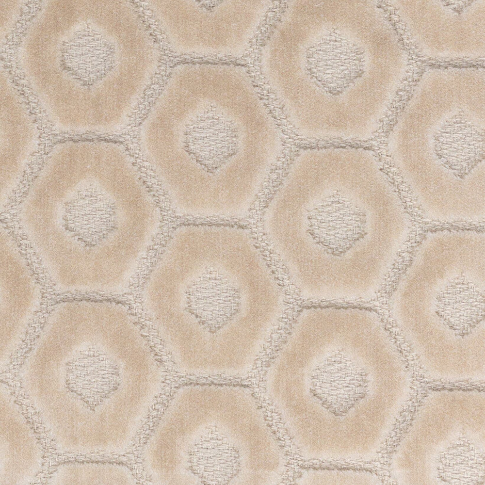 Tambourine 5 Cream by Stout Fabric Stout Fabric Tambourine 5 CreamFabric PILED HIGH VELVETS 88%SVI 12%POL INDIA </p><p>Repeat: H: 2.500, V: 1.750 56 in - Fabric Carolina -