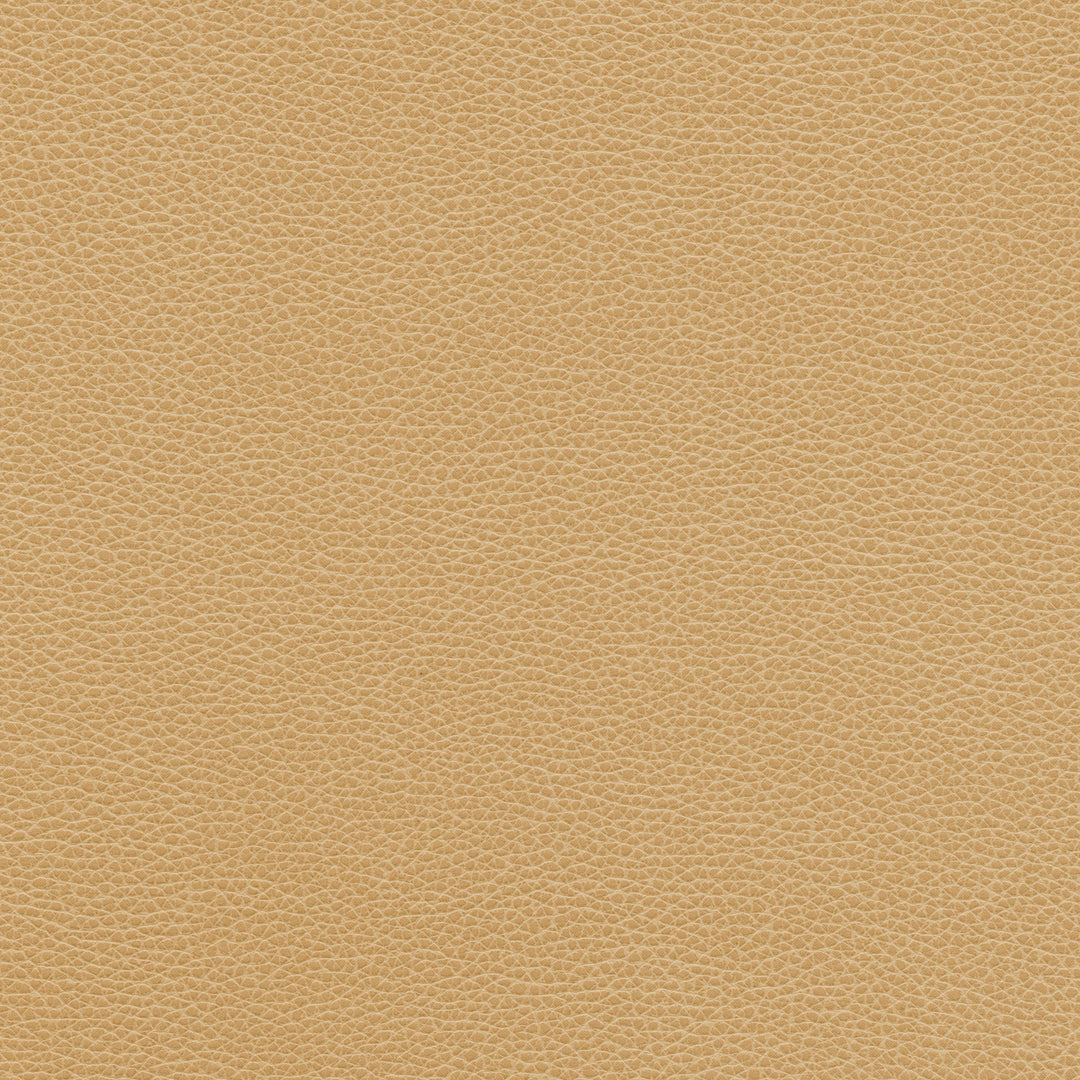 Kravet Design Fabric Kravet Design - Tannin-16