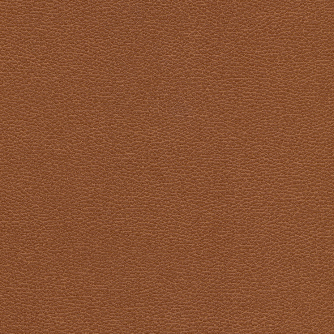 Kravet Design Fabric Kravet Design - Tannin-6