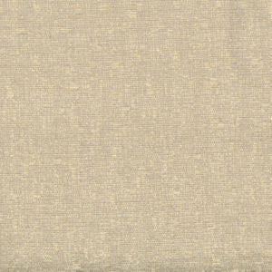 Tarpon Conch by Norbar Designer Fabric 87% POLYESTER 13% COTTON INDIA 54 - Swanky Fabrics -