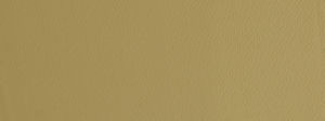 Taurus Vintage Gold 881 by Norbar Designer Fabric SENSATION 59% COTTON 41% POLYESTER INDIA 1"V 1"H 55 - Swanky Fabrics -