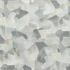 Kravet Fabric Tavoro Platinum