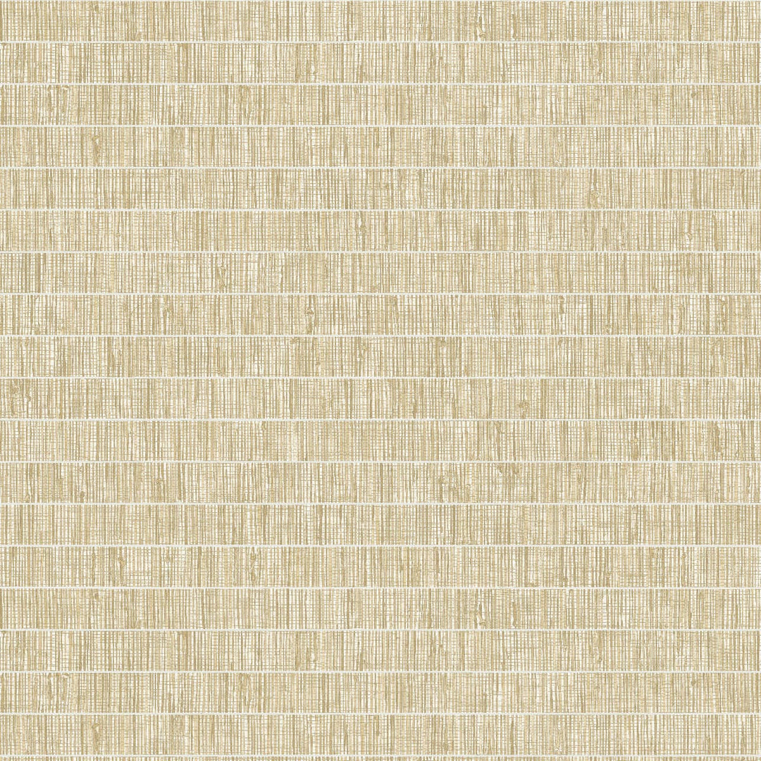 Blue Grass Band Golden Wheat TC70003 by Seabrook Designs Designer Wallpaper