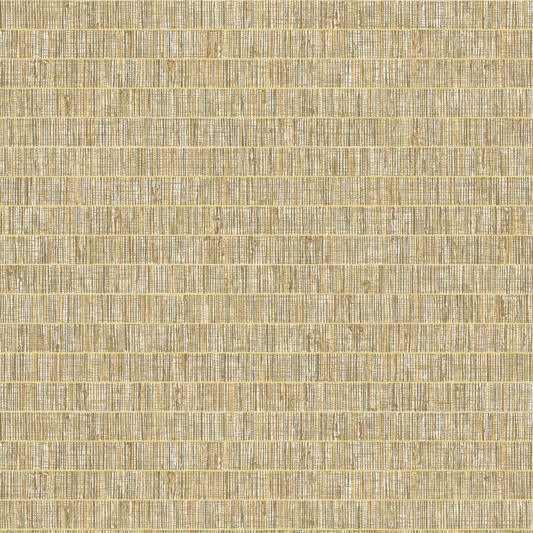 Blue Grass Band Ginseng TC70006 by Seabrook Designs Designer Wallpaper