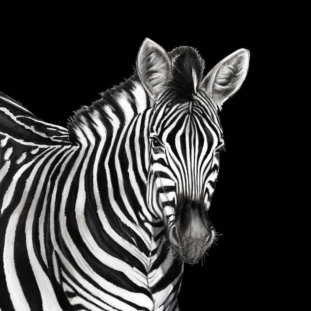 Zebra Mural Lucia TCW001TCAI5UZ005 by Dolce & Gabbana Casa Designer Wallpaper