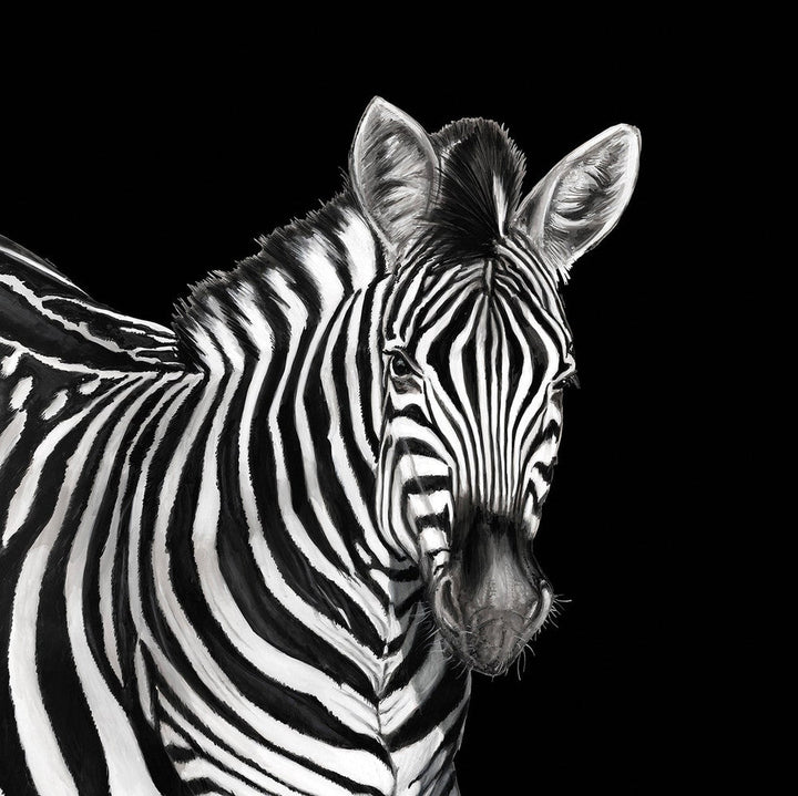 Zebra Mural Lucia TCW001TCAI5UZ005 by Dolce & Gabbana Casa Designer Wallpaper