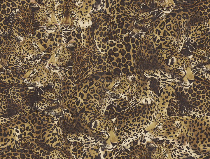 Leopardo Incognito Alessia TCW007TCAHOUL022 by Dolce & Gabbana Casa Designer Wallpaper