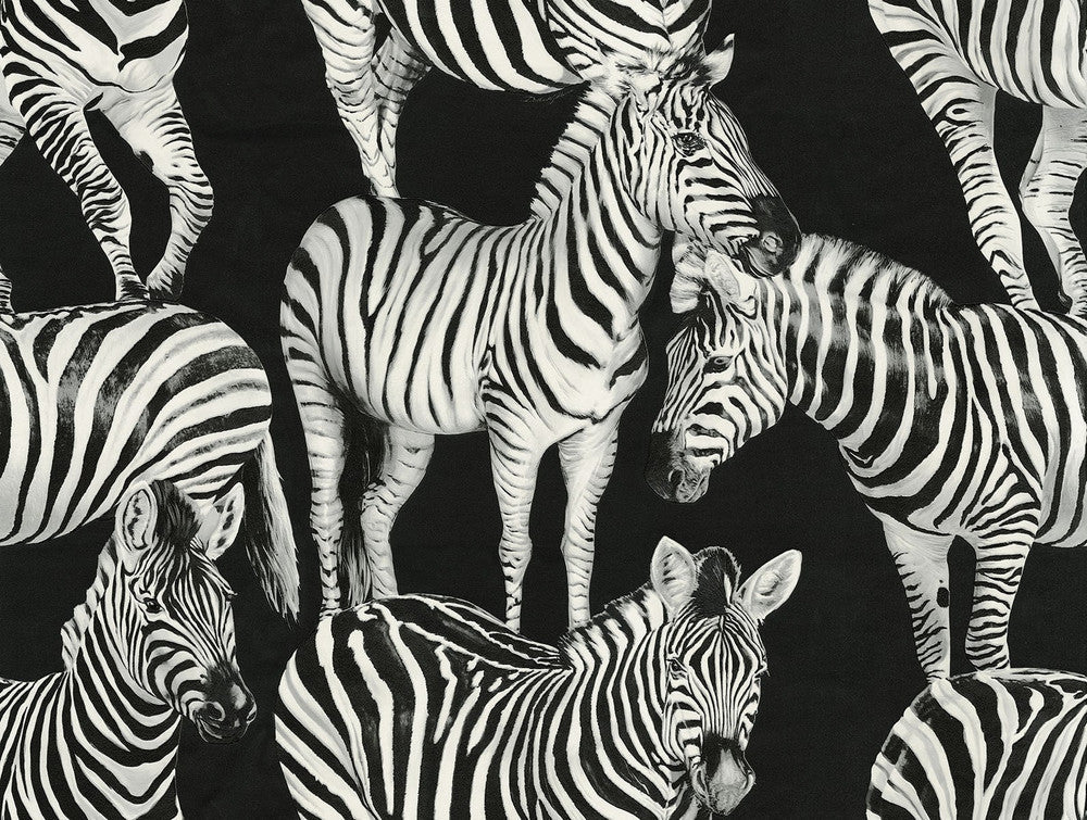 Zebra Romance Contrasto TCW007TCAHOUZ011 by Dolce & Gabbana Casa Designer Wallpaper