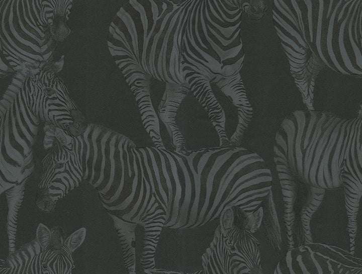 Zebra Romance Misterioso TCW007TCAHOUZ018 by Dolce & Gabbana Casa Designer Wallpaper