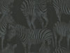 Dolce & Gabbana Casa Wallpaper Zebra Romance Misterioso TCW007TCAHOUZ018